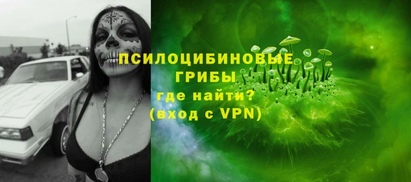 ГАЛЛЮЦИНОГЕННЫЕ ГРИБЫ Пролетарск