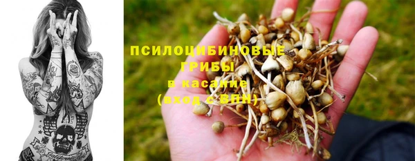 Альфа ПВП Протвино