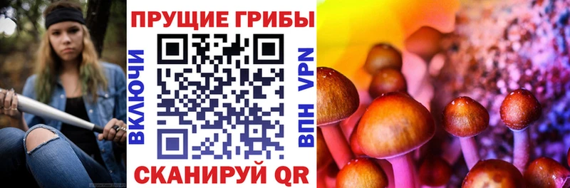Галлюциногенные грибы MAGIC MUSHROOMS  Соль-Илецк 