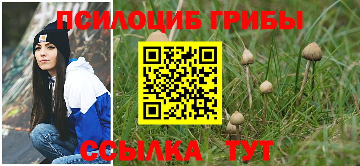 Галлюциногенные грибы мухоморы Соль-Илецк