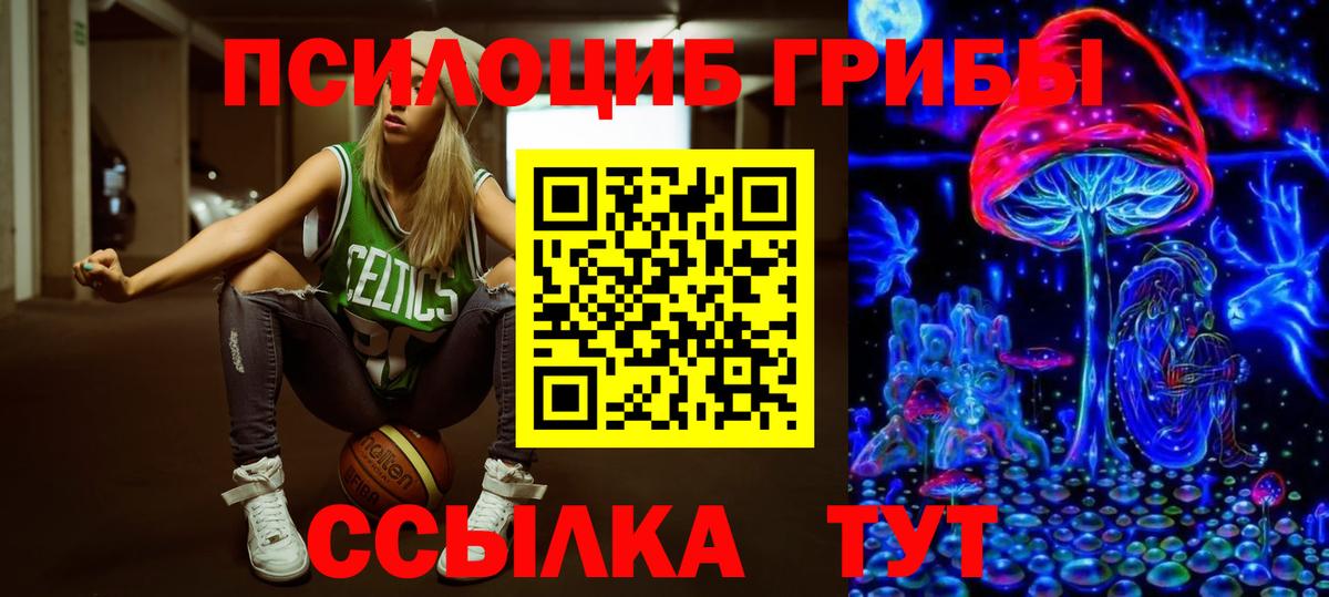 Псилоцибиновые грибы MAGIC MUSHROOMS  Вход с VPN  Соль-Илецк 